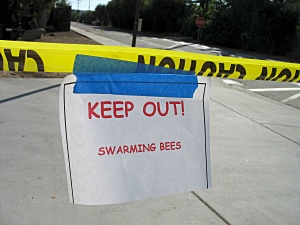 Keep Out! Swarming Bees Sign